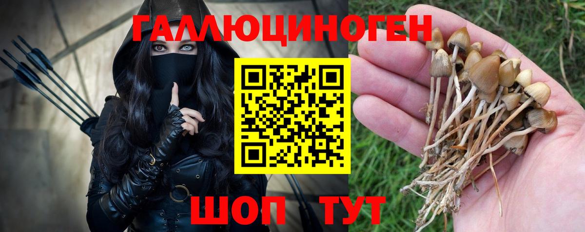 Галлюциногенные грибы прущие грибы  наркота  Елизово  Вход с VPN 
