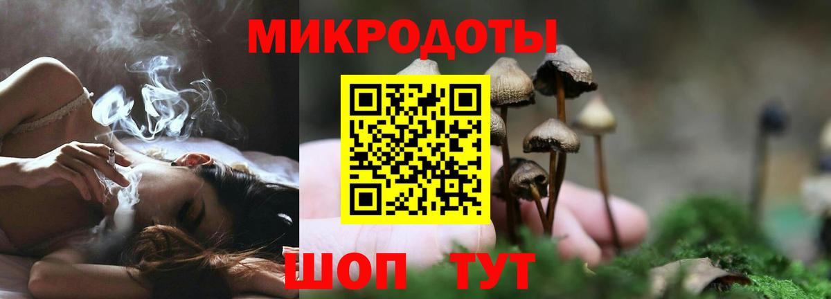 Галлюциногенные грибы Magic Shrooms Елизово